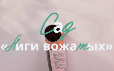 Всероссийский конкурс профессионального мастерства вожатых «Лига вожатых»!